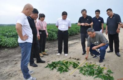 轉(zhuǎn)載‖大連凱飛化學(xué)股份有限公司一行到尖山農(nóng)場有限公司參觀考察